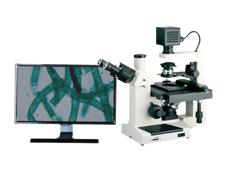 倒置生物显微镜WG-DSW280