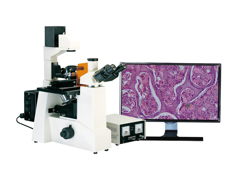 落射金相显微镜、透射金相显微镜校准误差的方法