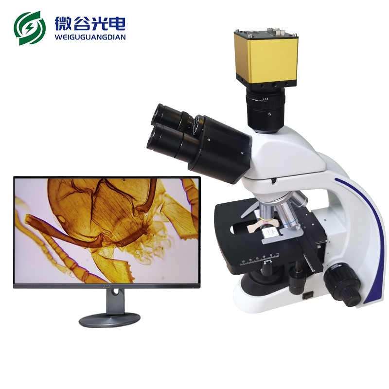 生物显微镜使用中常见的问题及解决办法