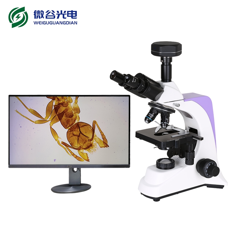 生物数码显微镜的工作原理介绍