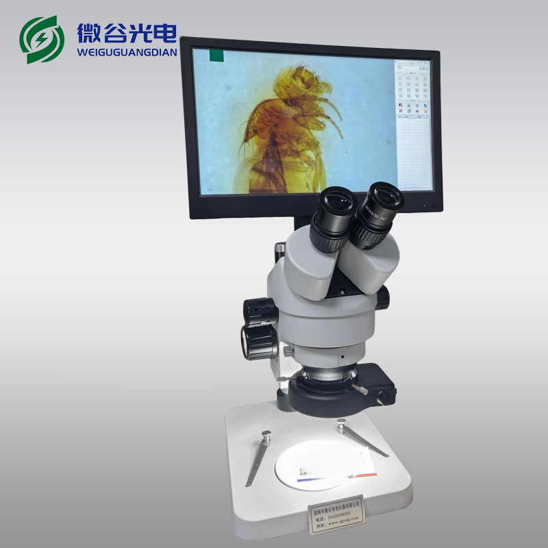 体视显微镜的功能特点介绍